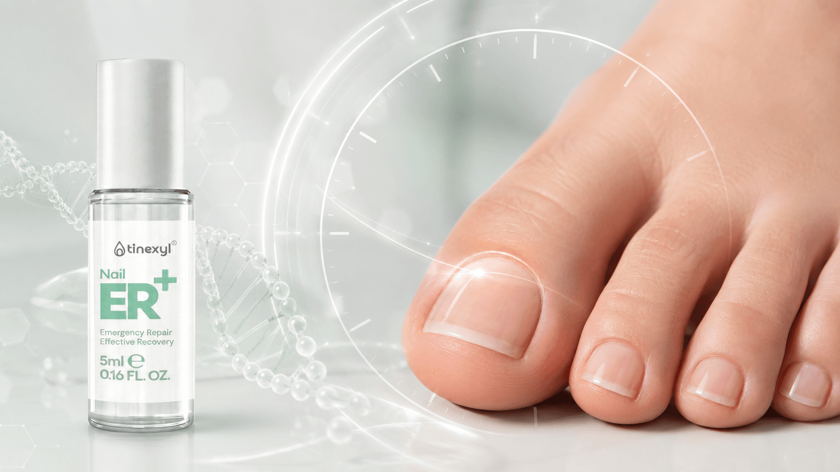 Nail ER+ bottle beside healthy-looking toenails and a clock graphic, illustrating that visible nail improvement requires time and consistent use